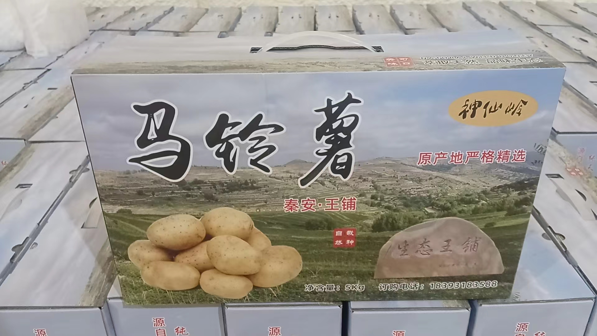 图片2.png