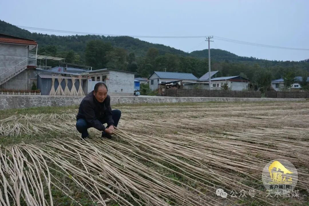 02.jpg